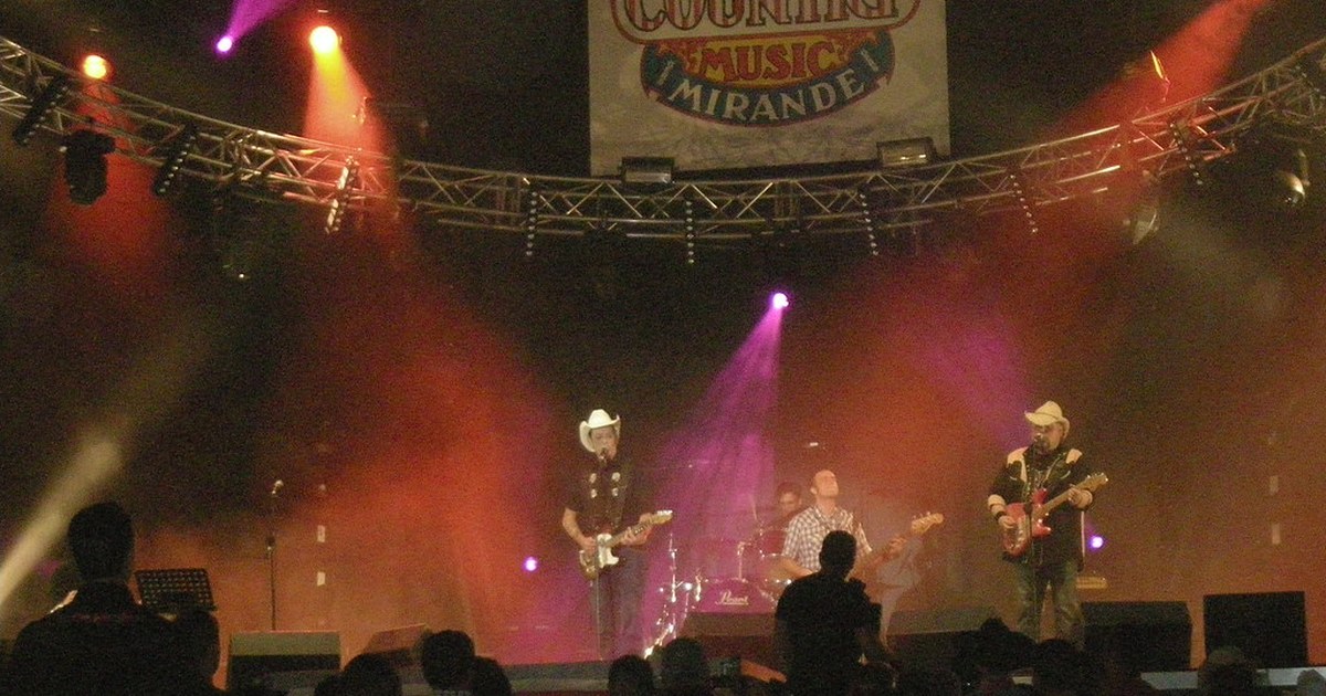 Americana live music crowd in a mid-size club