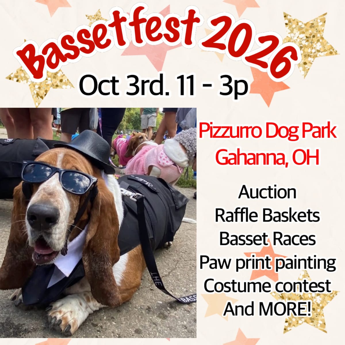 Basset hounds and dog owners at an outdoor park festival