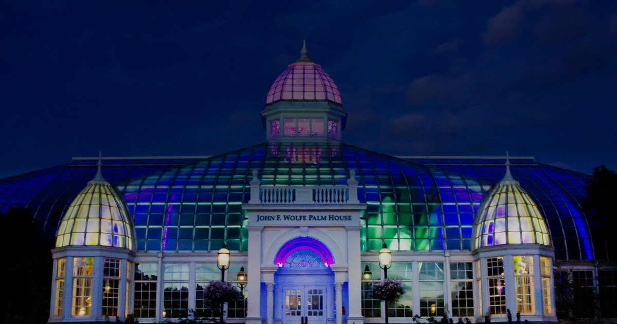 Harvest Blooms in Columbus