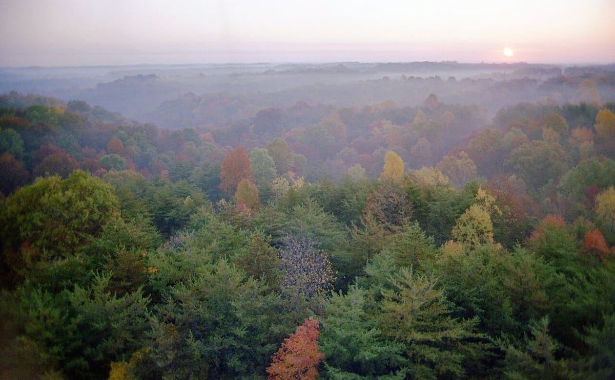 Fall foliage and morning mist over the hills near Conkle's Hollow in Hocking Hills, Ohio