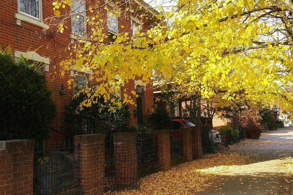 Brick rowhouses and tree-lined street in German Village Columbus