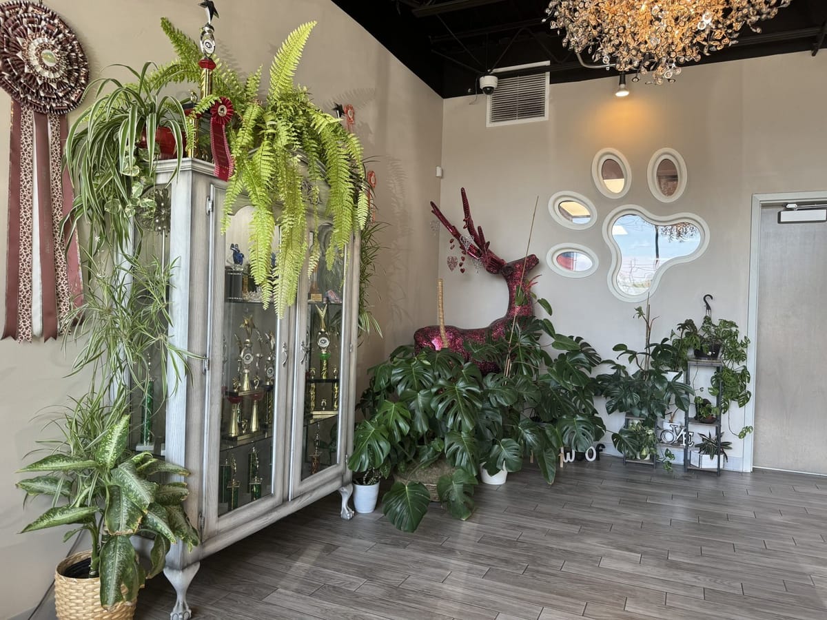 Trophy wall and reception plants at Designer Paws Salon in Upper Arlington